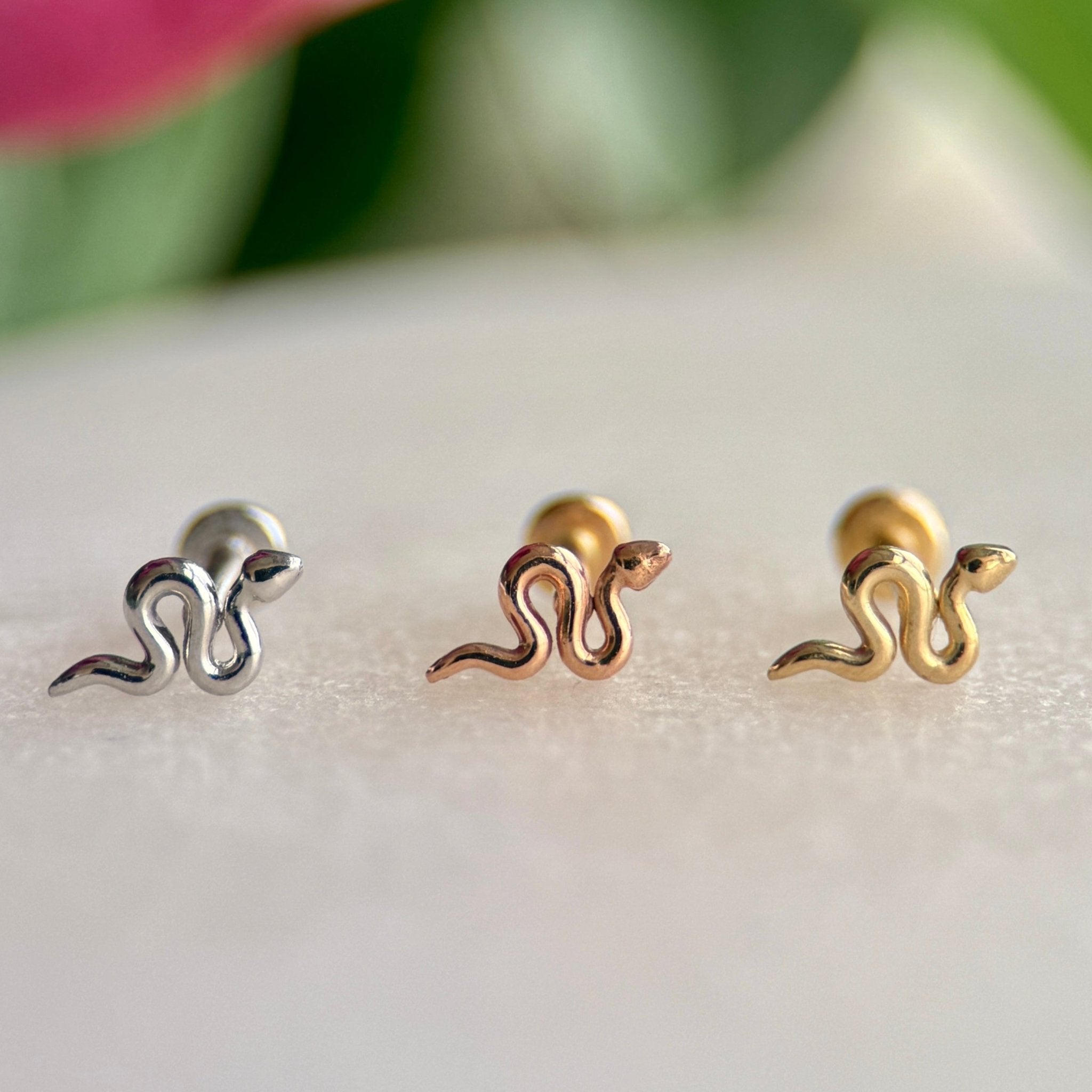 Snake Flat Back Stud in Solid 14k Yellow Gold