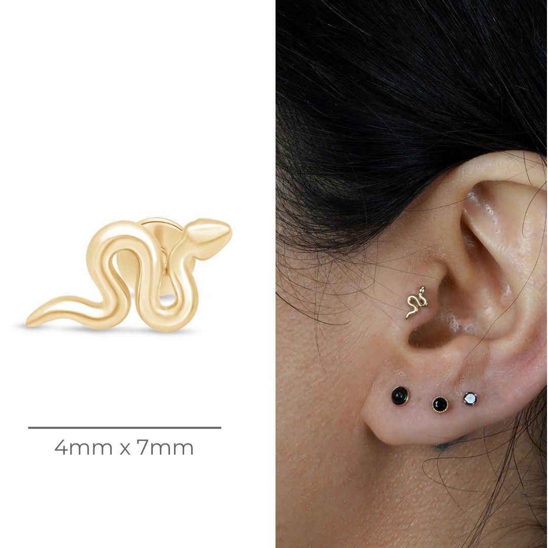 Snake Flat Back Stud in Solid 14k Yellow Gold