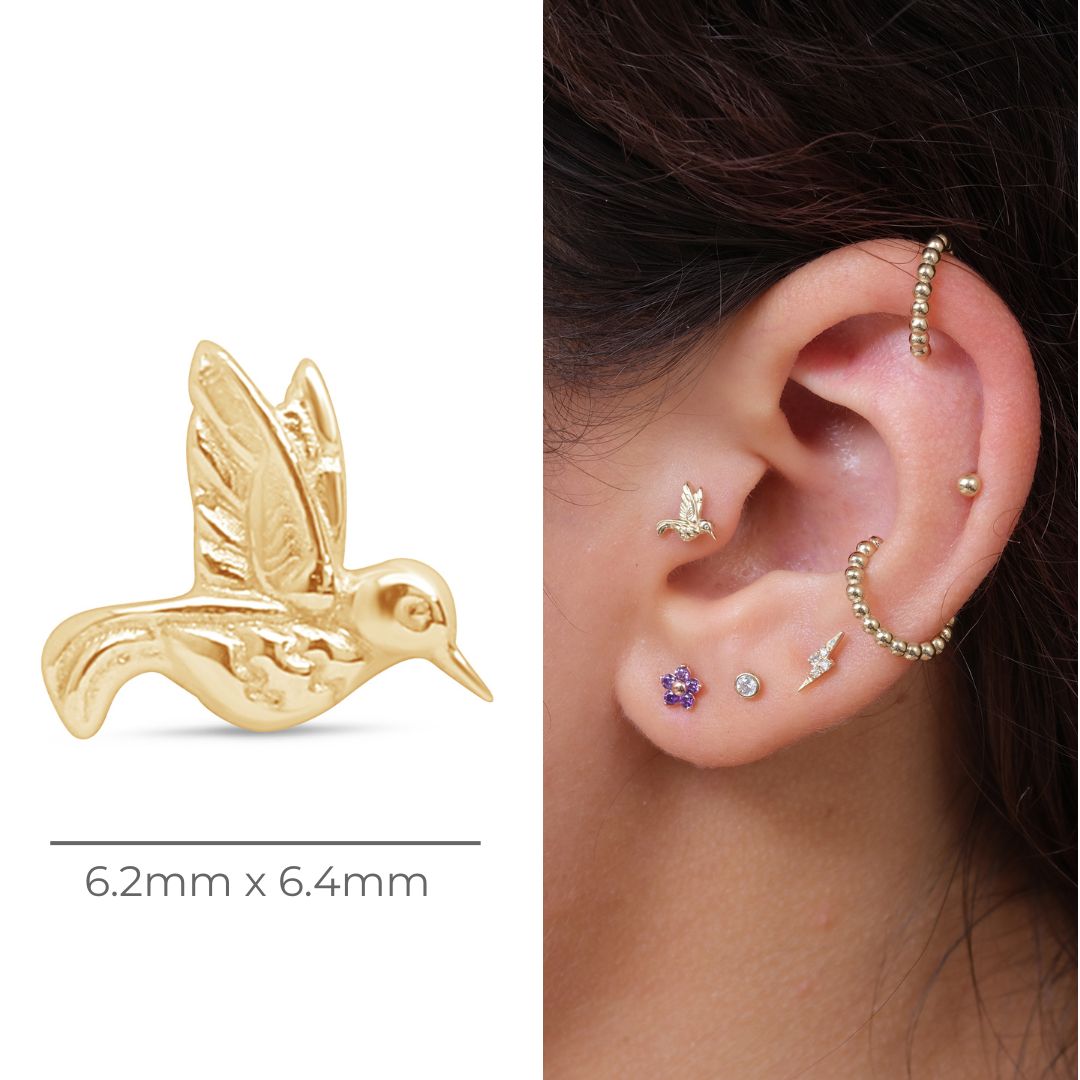 Hummingbird Flat Back Stud in Solid 14k Yellow Gold