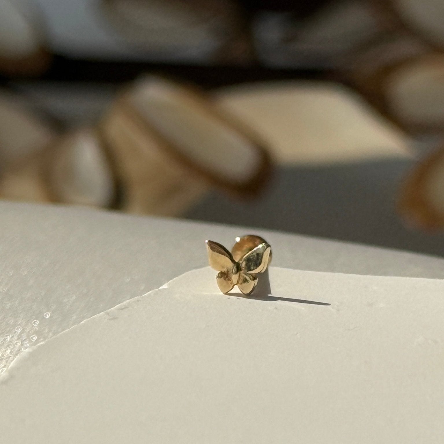 Butterfly Flat Back Stud in Solid 14k Yellow Gold