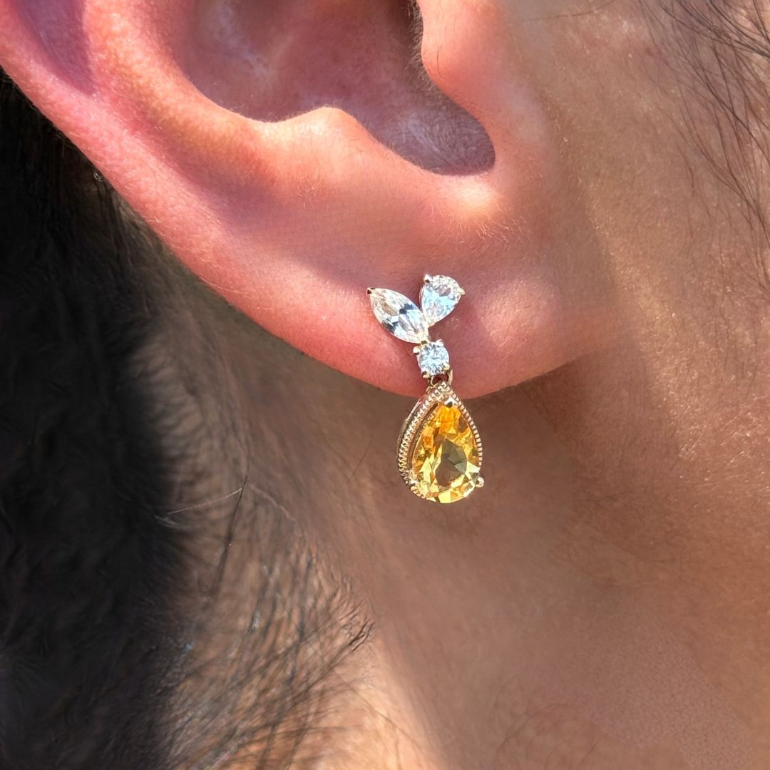 Classic Back Earrings