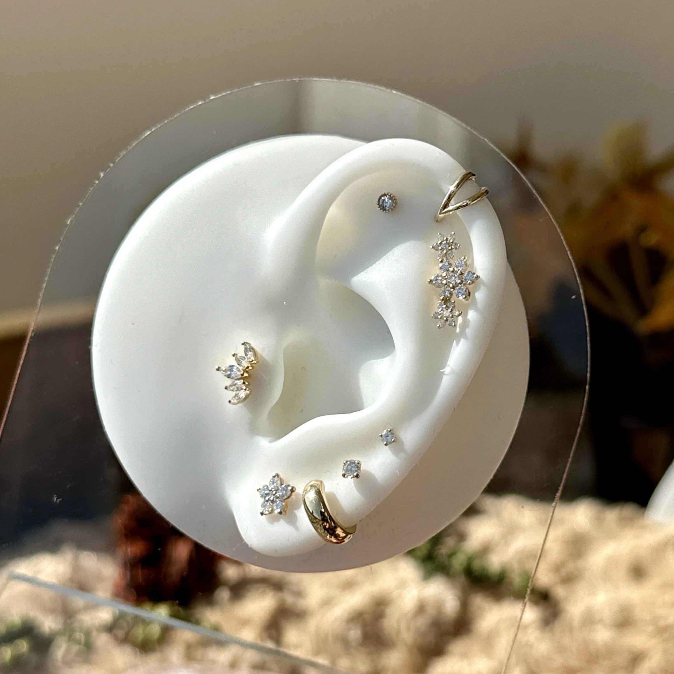 Twin Band Statement Hoop in Solid 14k Yellow Gold